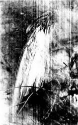 Eris (CH) : Untitled